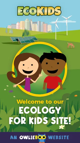 welcome to our ecology for kids site ECOKIDS